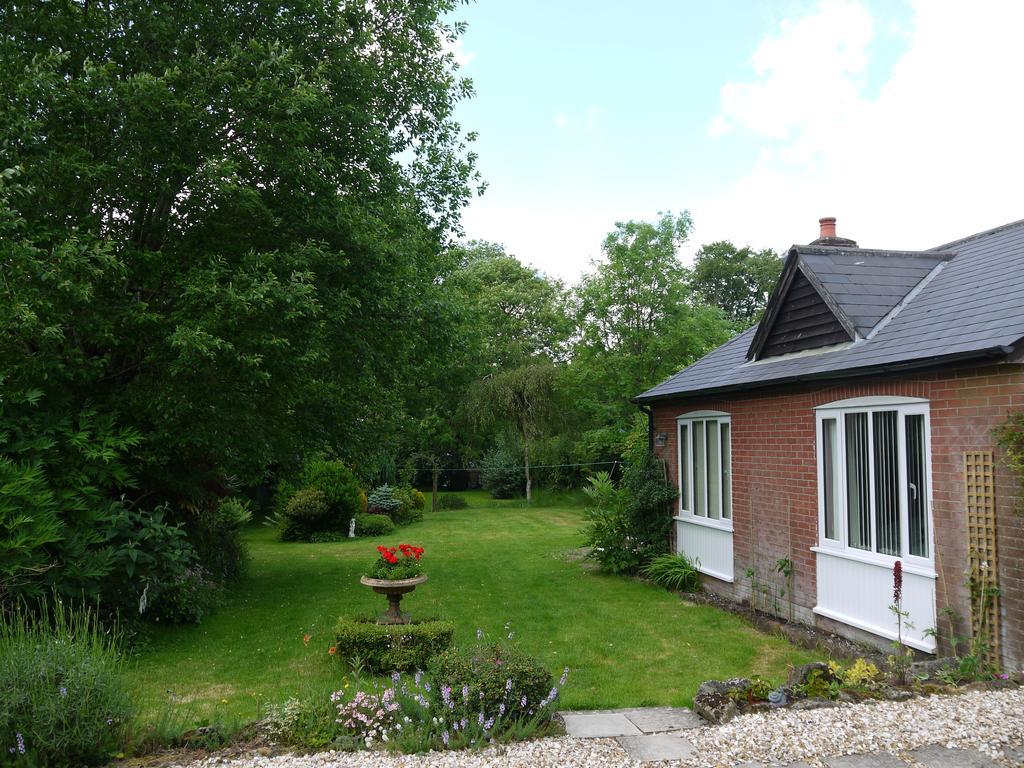 Three Ivy Cross Bed & Breakfast Shaftesbury Rom bilde