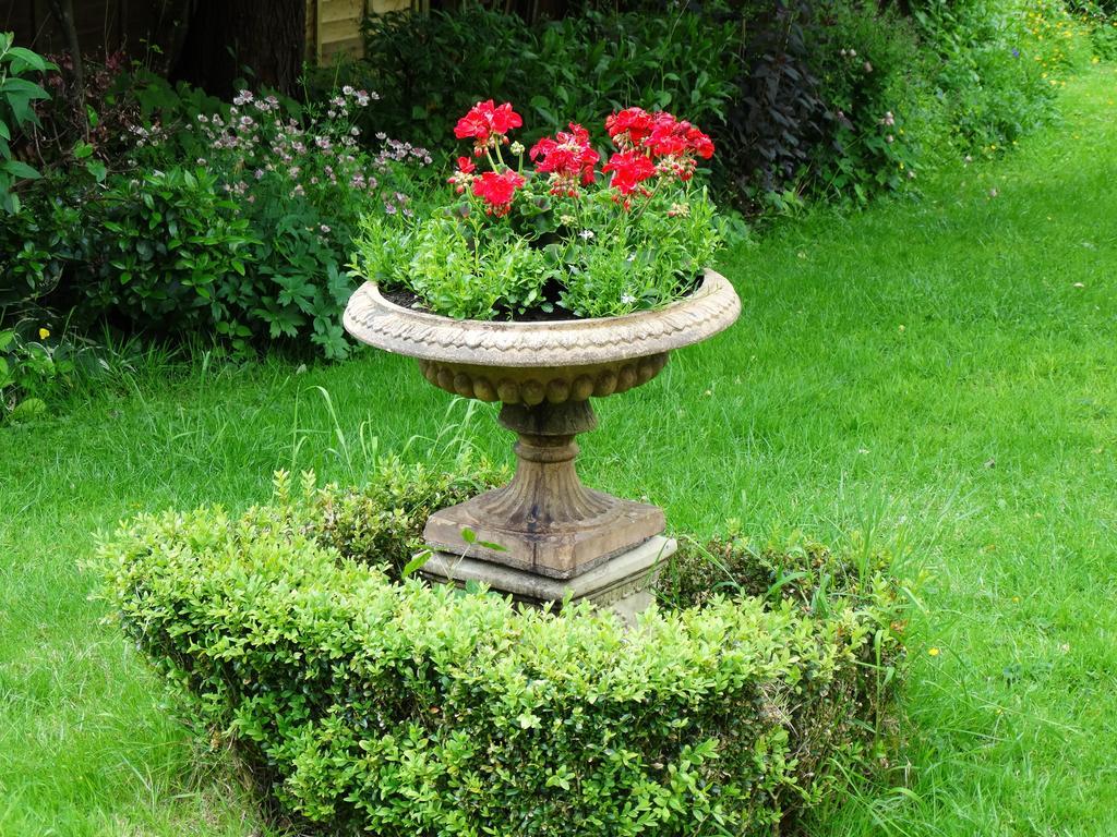 Three Ivy Cross Bed & Breakfast Shaftesbury Eksteriør bilde